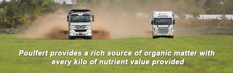 Poulfert provides a rich source of organic matter with every kilo of nutrient value provided